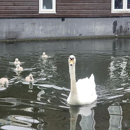 Lovely Canal Boat In Little Venice For Family & Friends London Luaran gambar