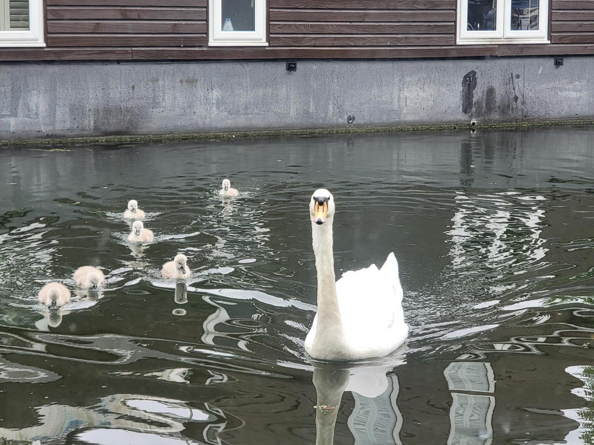 Lovely Canal Boat In Little Venice For Family & Friends London Luaran gambar